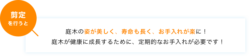 庭木の姿が美しく、寿命も長く、お手入れが楽に!庭木が健康に成長するために、定期的なお手入れが必要です!