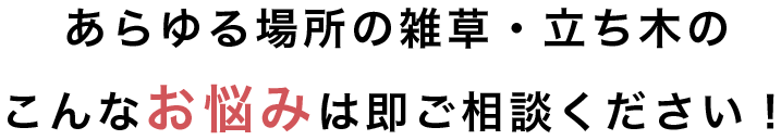 あらゆる場所の雑草・立ち木の こんなお悩みは即ご相談ください!